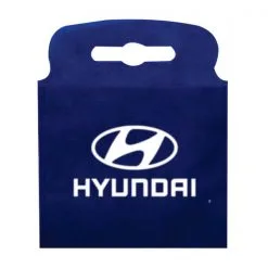 lixocar personalizado azul