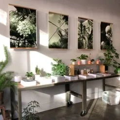 Casa e Decoração